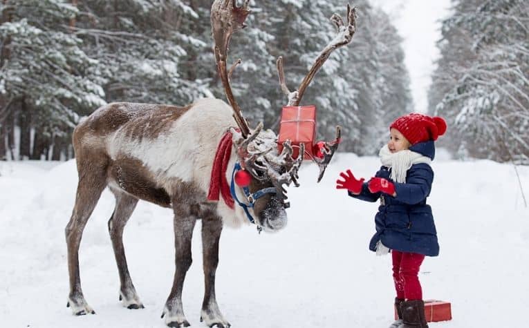 A girl and a reindeer in Norway