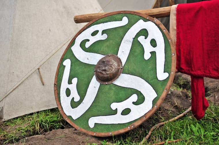 Viking shield