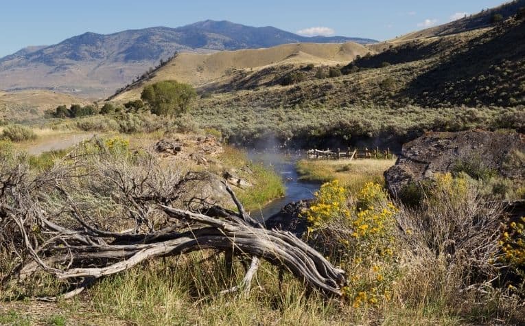 steam hot springs