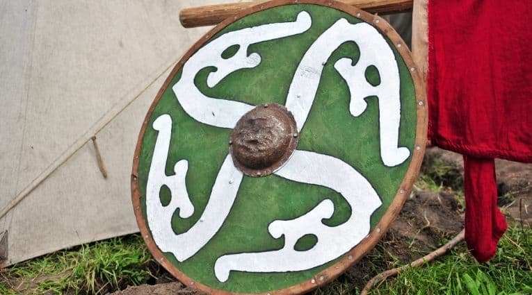 Viking circular shield