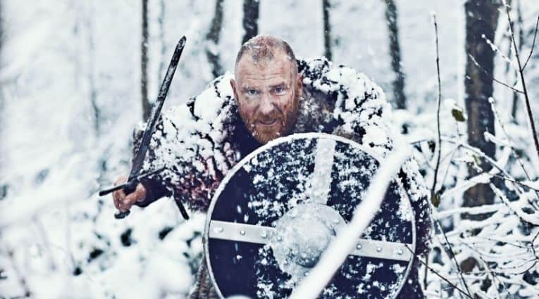 Viking warrior shield