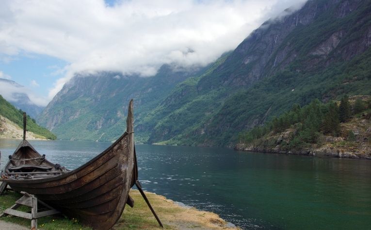 Viking ships