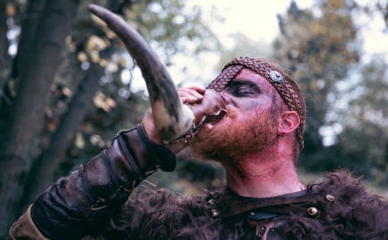 Viking drinking horn