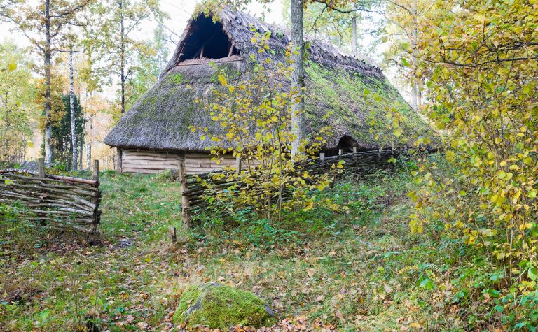 Viking longhouse