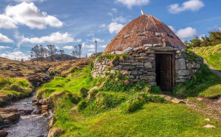 Viking home